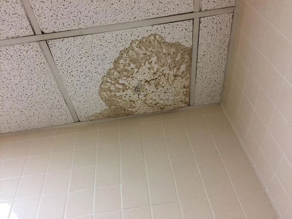 Water stain spreading across a flat ceiling caused by leakage from the apartment above in Pune
